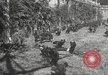 Image of black foxes Seattle Washington USA, 1934, second 31 stock footage video 65675061007