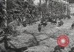 Image of black foxes Seattle Washington USA, 1934, second 33 stock footage video 65675061007