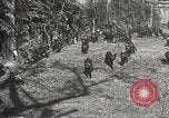 Image of black foxes Seattle Washington USA, 1934, second 34 stock footage video 65675061007
