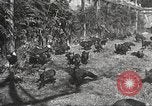 Image of black foxes Seattle Washington USA, 1934, second 38 stock footage video 65675061007