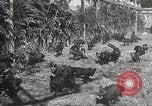 Image of black foxes Seattle Washington USA, 1934, second 39 stock footage video 65675061007