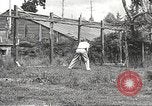 Image of black foxes Seattle Washington USA, 1934, second 42 stock footage video 65675061007