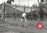 Image of black foxes Seattle Washington USA, 1934, second 43 stock footage video 65675061007