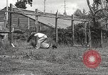 Image of black foxes Seattle Washington USA, 1934, second 44 stock footage video 65675061007