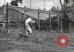 Image of black foxes Seattle Washington USA, 1934, second 45 stock footage video 65675061007