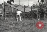 Image of black foxes Seattle Washington USA, 1934, second 46 stock footage video 65675061007