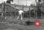 Image of black foxes Seattle Washington USA, 1934, second 47 stock footage video 65675061007