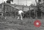 Image of black foxes Seattle Washington USA, 1934, second 48 stock footage video 65675061007
