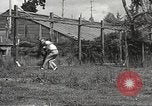 Image of black foxes Seattle Washington USA, 1934, second 51 stock footage video 65675061007