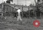 Image of black foxes Seattle Washington USA, 1934, second 53 stock footage video 65675061007