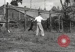Image of black foxes Seattle Washington USA, 1934, second 54 stock footage video 65675061007