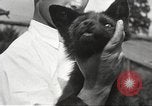 Image of black foxes Seattle Washington USA, 1934, second 59 stock footage video 65675061007