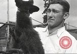 Image of black foxes Seattle Washington USA, 1934, second 60 stock footage video 65675061007