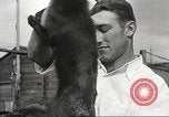 Image of black foxes Seattle Washington USA, 1934, second 62 stock footage video 65675061007