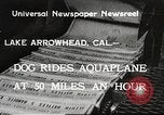 Image of Dog water skiing California United States USA, 1934, second 1 stock footage video 65675061011
