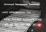 Image of Dog water skiing California United States USA, 1934, second 3 stock footage video 65675061011