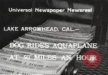 Image of Dog water skiing California United States USA, 1934, second 4 stock footage video 65675061011