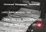 Image of Dog water skiing California United States USA, 1934, second 7 stock footage video 65675061011