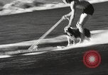 Image of Dog water skiing California United States USA, 1934, second 16 stock footage video 65675061011