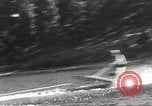 Image of Dog water skiing California United States USA, 1934, second 29 stock footage video 65675061011