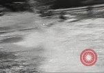 Image of Dog water skiing California United States USA, 1934, second 58 stock footage video 65675061011