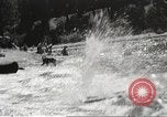 Image of Dog water skiing California United States USA, 1934, second 61 stock footage video 65675061011