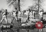 Immagine di Alluvione in Mississippi Greenwood Mississippi USA, 1932, secondo 50 filmato di repertorio 65675061016