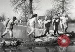 Immagine di Alluvione in Mississippi Greenwood Mississippi USA, 1932, secondo 54 filmato di repertorio 65675061016