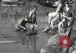 Immagine di Alluvione in Mississippi Greenwood Mississippi USA, 1932, secondo 56 filmato di repertorio 65675061016