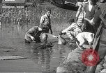 Immagine di Alluvione in Mississippi Greenwood Mississippi USA, 1932, secondo 57 filmato di repertorio 65675061016
