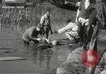 Immagine di Alluvione in Mississippi Greenwood Mississippi USA, 1932, secondo 58 filmato di repertorio 65675061016