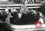 Standbild Fischer San Pedro California USA, 1932, aus Sekunde 36 historischem Filmmaterial Videoclip 65675061021