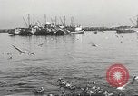 Standbild Fischer San Pedro California USA, 1932, aus Sekunde 41 historischem Filmmaterial Videoclip 65675061021