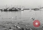 Standbild Fischer San Pedro California USA, 1932, aus Sekunde 42 historischem Filmmaterial Videoclip 65675061021