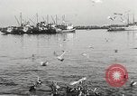 Standbild Fischer San Pedro California USA, 1932, aus Sekunde 43 historischem Filmmaterial Videoclip 65675061021