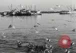 Standbild Fischer San Pedro California USA, 1932, aus Sekunde 44 historischem Filmmaterial Videoclip 65675061021