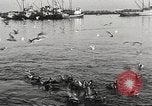 Standbild Fischer San Pedro California USA, 1932, aus Sekunde 46 historischem Filmmaterial Videoclip 65675061021