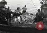 Standbild Fischer San Pedro California USA, 1932, aus Sekunde 59 historischem Filmmaterial Videoclip 65675061021