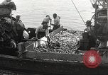 Standbild Fischer San Pedro California USA, 1932, aus Sekunde 61 historischem Filmmaterial Videoclip 65675061021