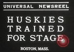 Image of dogs training for stage performance Boston Massachusetts USA, 1934, second 5 stock footage video 65675061028