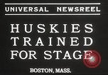 Image of dogs training for stage performance Boston Massachusetts USA, 1934, second 6 stock footage video 65675061028
