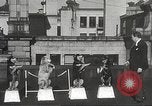 Image of dogs training for stage performance Boston Massachusetts USA, 1934, second 11 stock footage video 65675061028