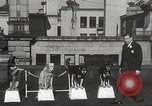 Image of dogs training for stage performance Boston Massachusetts USA, 1934, second 14 stock footage video 65675061028