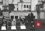 Image of dogs training for stage performance Boston Massachusetts USA, 1934, second 15 stock footage video 65675061028