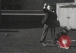 Image of dogs training for stage performance Boston Massachusetts USA, 1934, second 18 stock footage video 65675061028