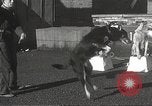 Image of dogs training for stage performance Boston Massachusetts USA, 1934, second 30 stock footage video 65675061028