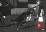 Image of dogs training for stage performance Boston Massachusetts USA, 1934, second 34 stock footage video 65675061028