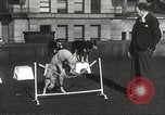Image of dogs training for stage performance Boston Massachusetts USA, 1934, second 46 stock footage video 65675061028