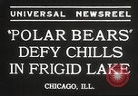 Immagine di Orso Pplar nuotare Chicago Illinois USA, 1934, secondo 4 filmato di repertorio 65675061029