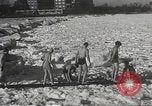 Immagine di Orso Pplar nuotare Chicago Illinois USA, 1934, secondo 11 filmato di repertorio 65675061029